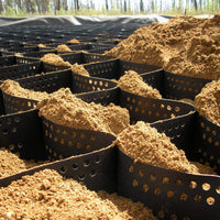 Cellular Confinement