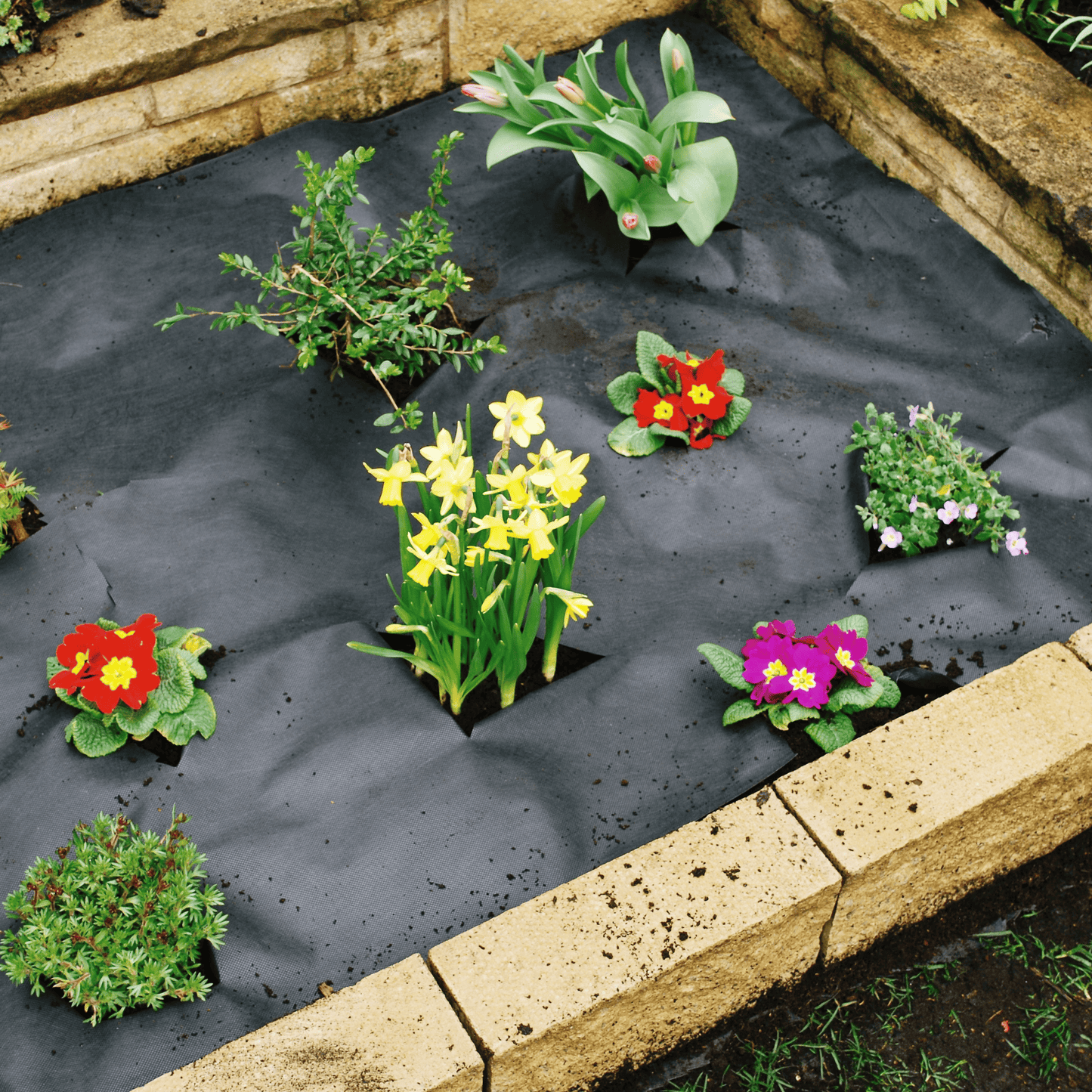 Black GTM100 Woven Geotextile Membrane 100gsm