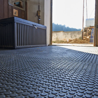 Economic Ground Mats 22mm