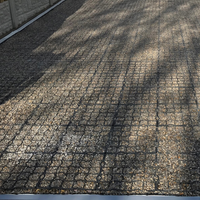 EcoGrid E30 Porous Paving Grid